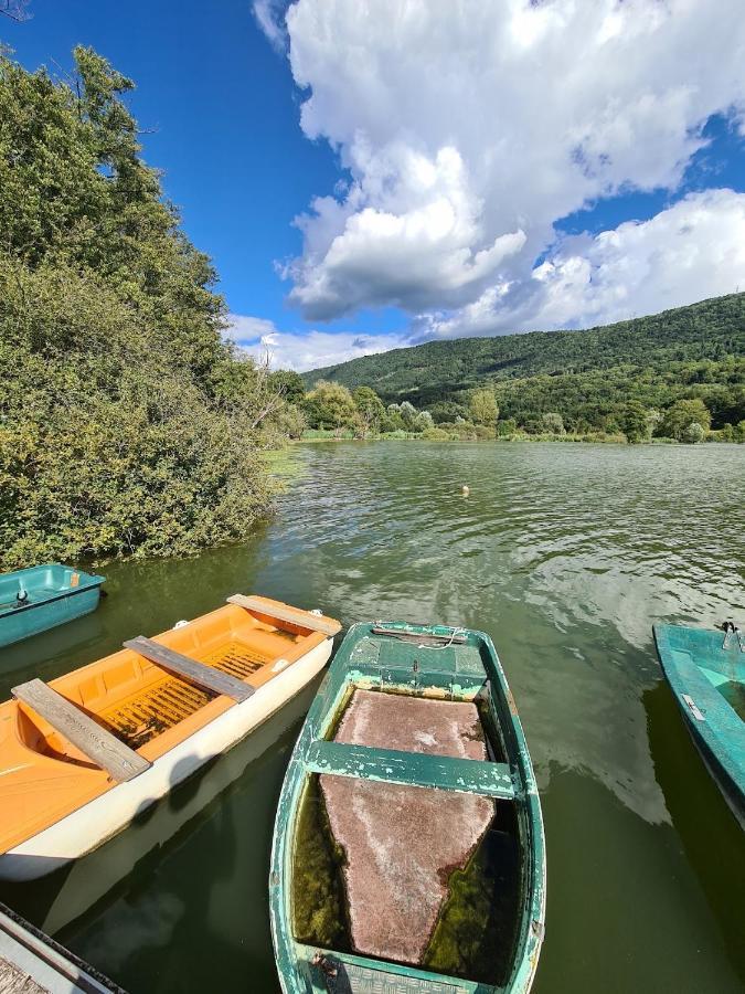 Le Lodge Du Pichat Sainte-Helene-du-Lac Kültér fotó